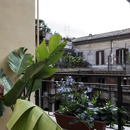 Sant'andrea *
